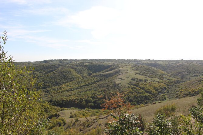 Private Day Horse Riding Trip to Sighnaghi With Lunch and Wine/Beer. - The Sum Up