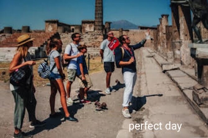Private Day in Pompeii, Trip to Vesuvius From Naples - Transportation and Pompeii Ticket