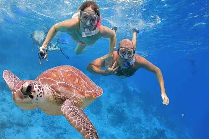 Private Day In Sharm El Sheikh From Cairo By Flight - Overview and Inclusions