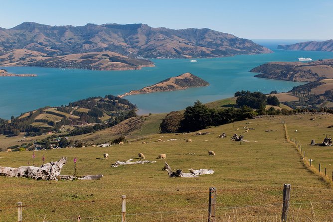 Private Day Scenic Excursion to Akaroa/Christchurch Ex Lyttelton - Optional Activities