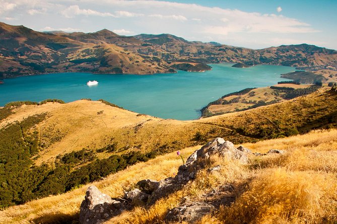 Private Day Scenic Excursion to Akaroa/Christchurch Ex Lyttelton - Common Questions