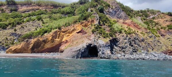 Private Day Seafari in the Azores Follow Marine Biologist - Booking and Cancellation