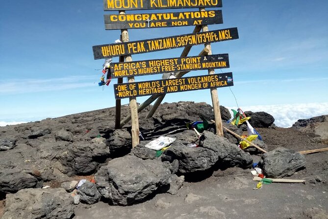 Private Day Tour and Hike in Kilimanjaro National Park - Good To Know
