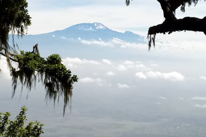 Private Day Tour and Hike in Kilimanjaro National Park - Itinerary Details