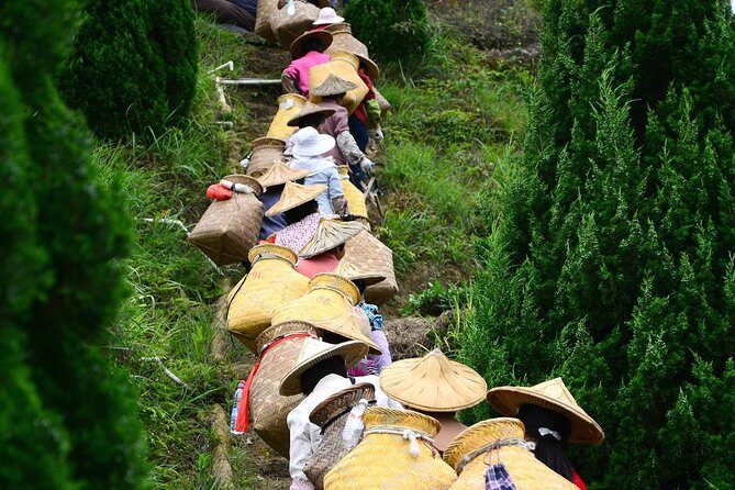 Private Day Tour: Anxi Tea Garden And Hongen Rock From Xiamen - Price and Value Analysis