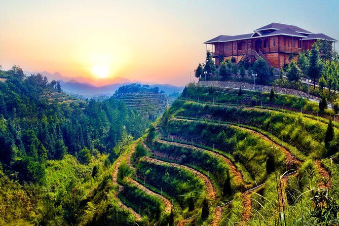 Private Day Tour: Anxi Tea Garden And Hongen Rock From Xiamen - Exploring the Best of Anxi: Private Day Tour from Xiamen