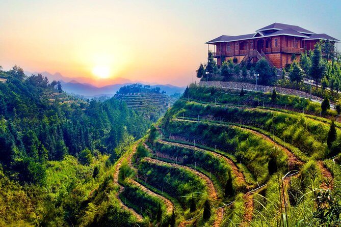 Private Day Tour: Anxi Tea Garden And Hongen Rock From Xiamen - Why Choose This Tour? A Deep Dive