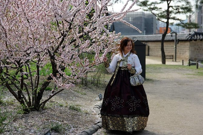 Private Day Tour Around Seoul Korea With Pro Photographer - Additional Information and Contact Details