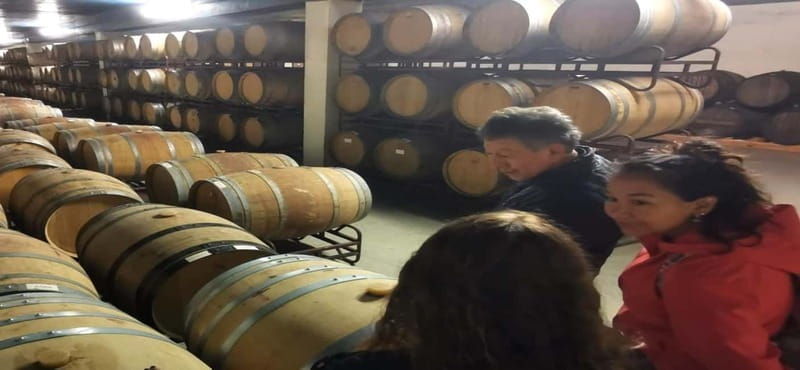 Private day tour Arrábida, Palmela Castle, tiles and Winery - What Makes This Tour Stand Out?