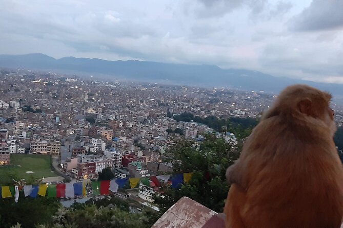 Private Day Tour at the World Heritage Site in Kathmandu Valley - Booking and Reservation Information