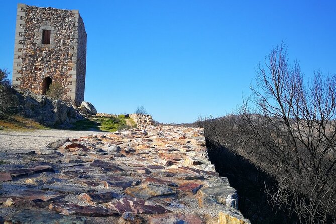 Private Day Tour Belmonte Museum of Discoveries and Jewish Museum - Participant Requirements