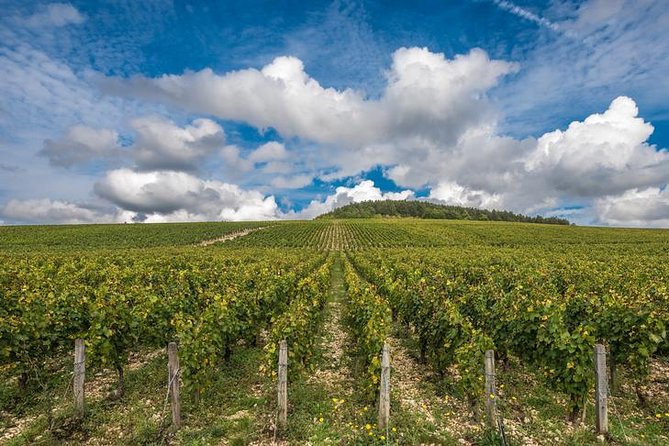 Private Day Tour: Chablis Vine From Paris - Avoiding Large Tour Groups