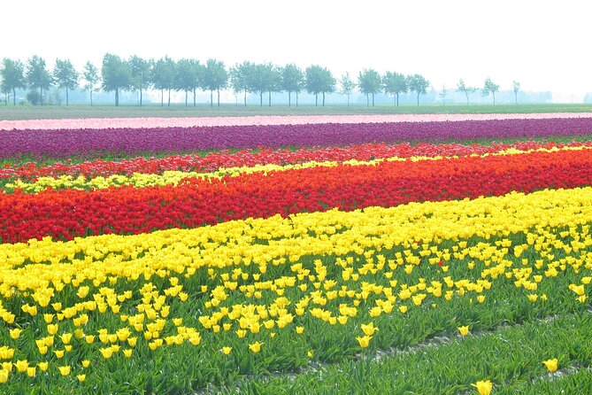 Private Day Tour Countryside of Amsterdam - Pickup Logistics