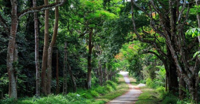 Private Day Tour: Cuc Phuong National Park From Hanoi - Highlights of the Tour