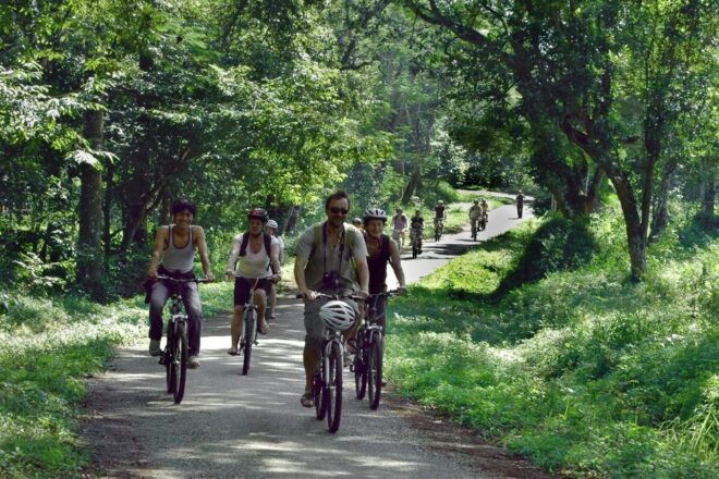 Private Day Tour: Cuc Phuong National Park From Hanoi - Testimonials From Satisfied Customers