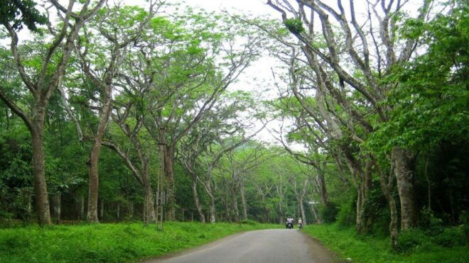 Private Day Tour: Cuc Phuong National Park From Hanoi - Additional Information