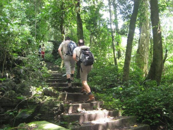 Private Day Tour: Cuc Phuong National Park From Hanoi - Common Questions