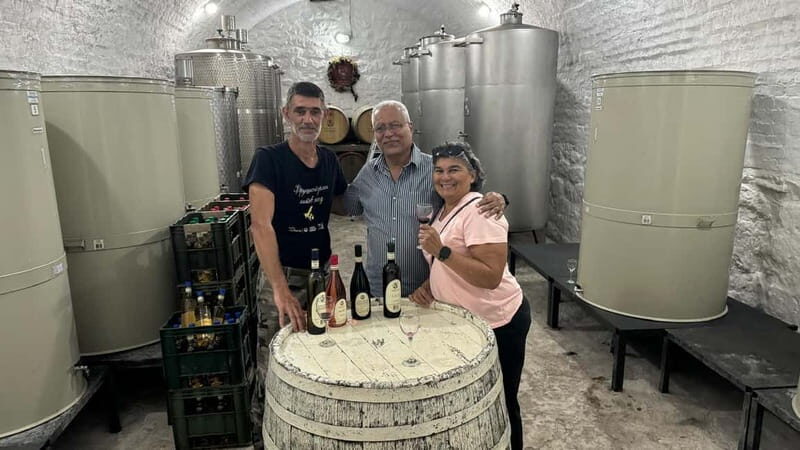 Private Day Tour Discovering Gems of Novi Sad in Luxury - Why This Tour Works Well