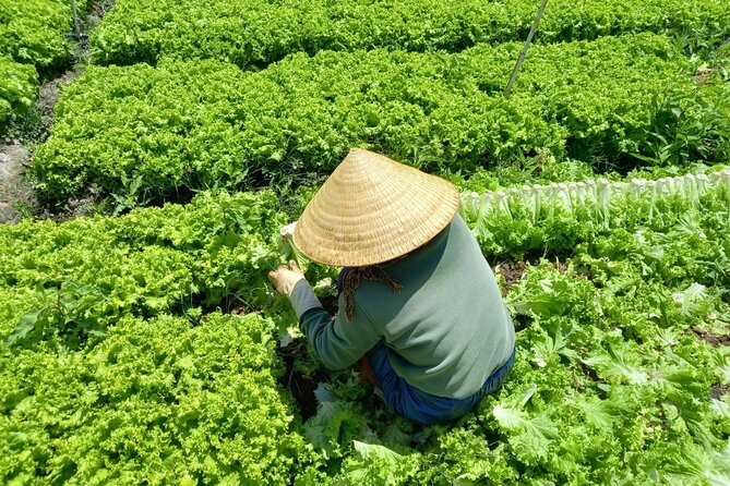 Private Day Tour - Exploring Dalat Countryside & Cooking Lunch - Cooking Class Experience