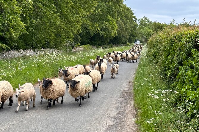 Private Day Tour From Bath to the Captivating Cotswolds With Pickup - The Sum Up