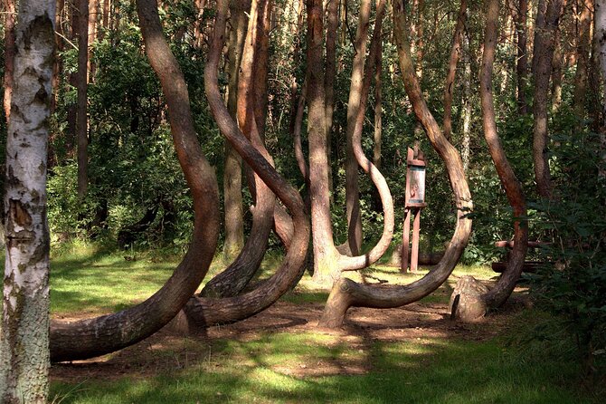 Private Day Tour From Berlin to Szczecin Poland - Additional Information