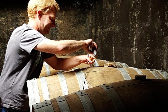 Private Day-Tour From Cognac : Vineyard and Craft Distilleries With Tastings - What to Expect