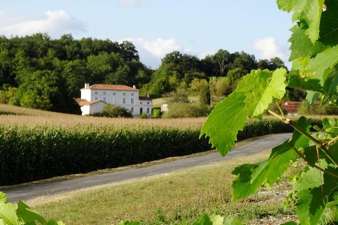 Private Day-Tour From Cognac : Vineyard and Craft Distilleries With Tastings - Additional Info
