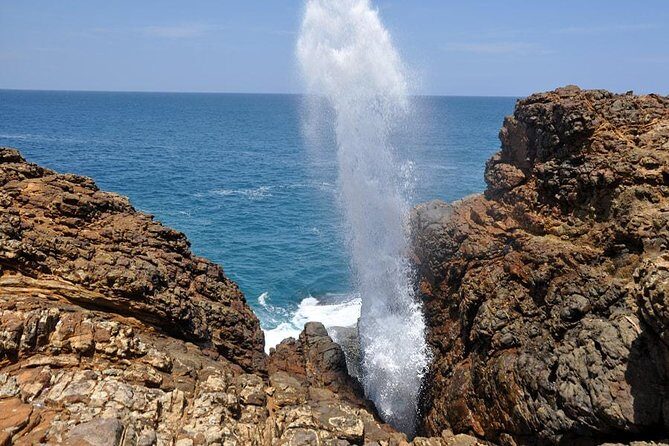 Private Day Tour from Colomb to Yala Safari (Leopard Safari Tour) - The Value of This Tour