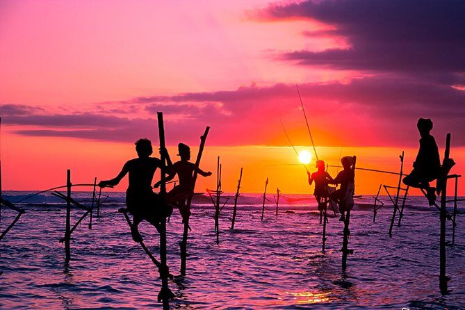 Private Day Tour from Colomb to Yala Safari (Leopard Safari Tour) - Who Should Consider This Tour?