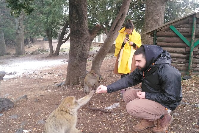 Private Day Tour From Fez to the Middle Atlas - Tour Overview