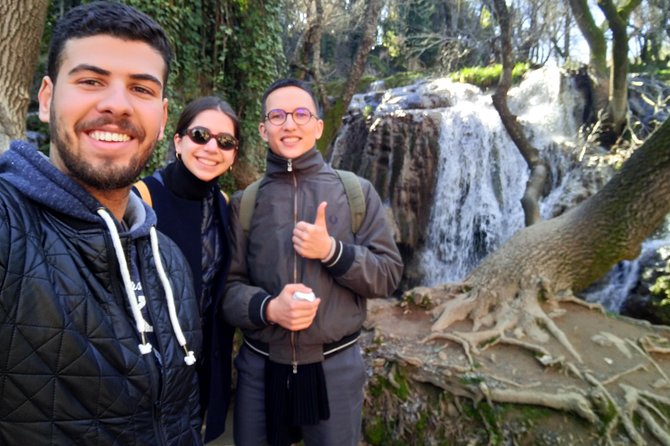 Private Day Tour From Fez to the Middle Atlas - Tour Highlights