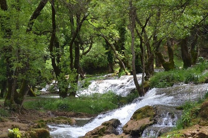 Private Day Tour From Fez to the Middle Atlas - Inclusions