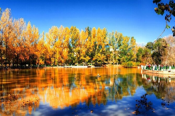 Private Day Tour From Fez to the Middle Atlas - Common Questions