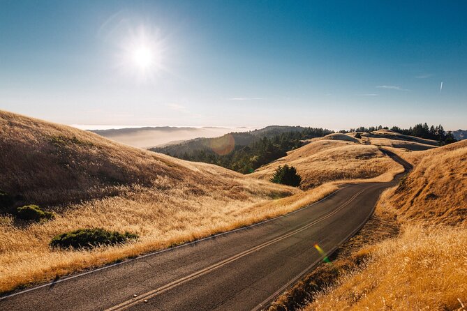 Private Day Tour From Florence to Pisa, Chianti and San Gimignano - Tour Highlights