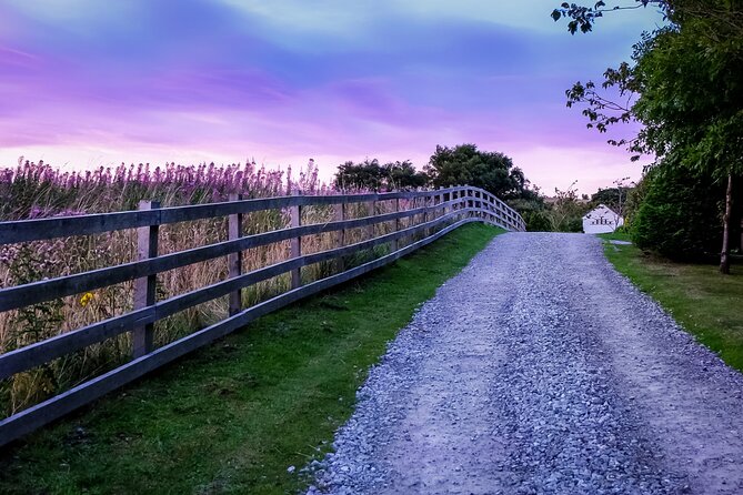 Private Day Tour From Florence to Pisa, Chianti and San Gimignano - Terms and Conditions