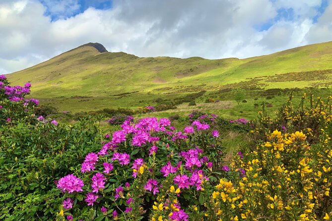Private Day Tour From Galway to the Burren & the Cliffs of Moher - Comfortable Transportation