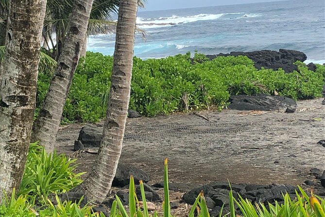 Private Day Tour From Hilo to Puna - Full-Day Tour With Private Guide