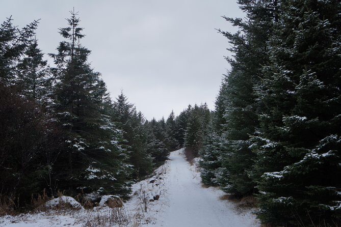 Private Day Tour from Höfn - The Eastfjords - Folaldafoss and Flögufos: Waterfalls with Character