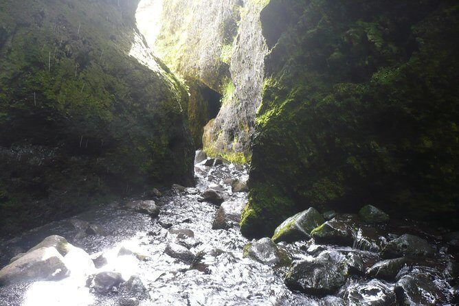 Private Day Tour from Höfn - The Eastfjords - The Benefits of Private Transportation in the Eastfjords