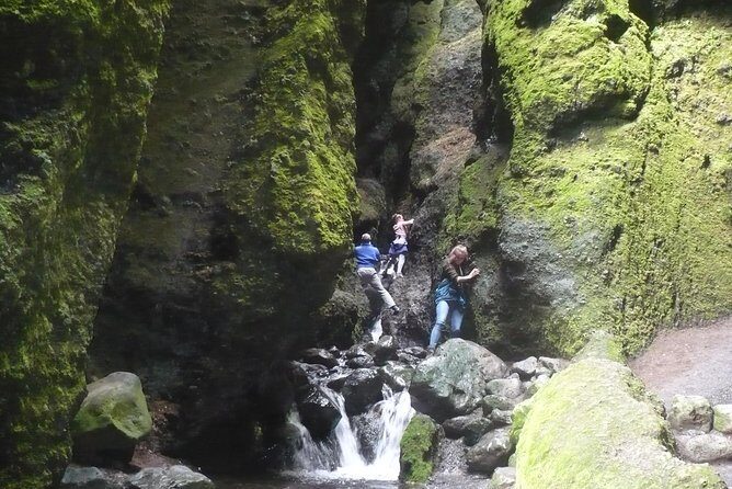 Private Day Tour from Höfn - The Eastfjords - Cultural and Artistic Highlights