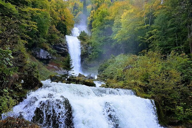 Private Day Tour From Interlaken: Lake, Gorge & Waterfall - Common Questions