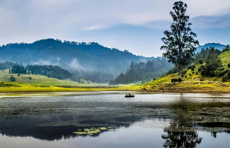 Private Day Tour : From Madurai to Enchanting Kodaikanal - Practical Tips for the Trip