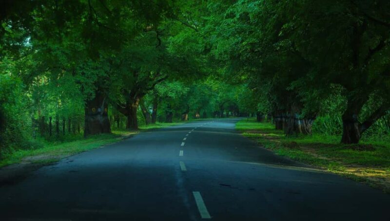 Private Day Tour : From Madurai to Enchanting Kodaikanal - Who Should Consider This Tour?