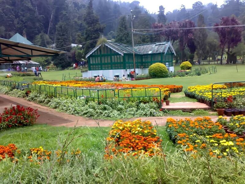 Private Day Tour : From Madurai to Enchanting Kodaikanal - The Itinerary in Detail: What You Can Expect