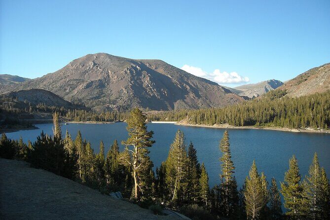 Private Day Tour from San Francisco to Yosemite - FAQs