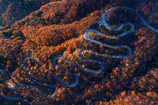 Private Day Tour From Tokyo: Nikko UNESCO Shrines & Nature Walk - The Sum Up