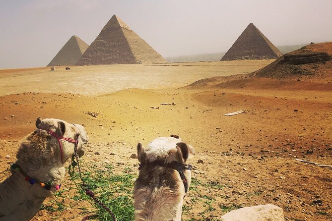 Private Day Tour Giza Pyramids,Camel Ride,Sphinx,Sakkara, Memphes - Tour Highlights