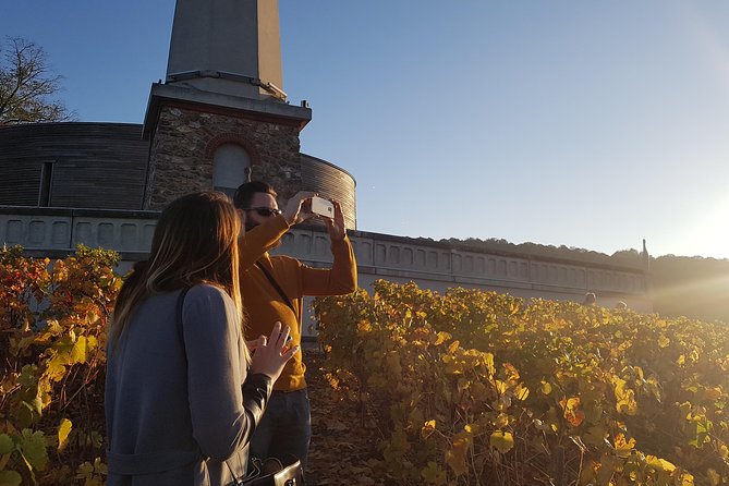 Private Day Tour in Champagne - Tour Details and Highlights