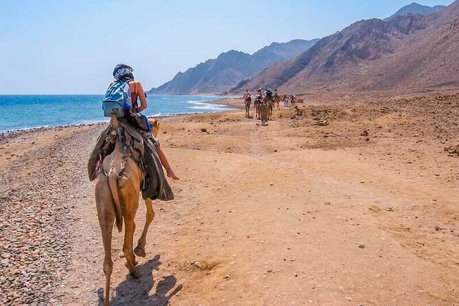 Private Day Tour In Dahab From Sharm El Sheikh - Price and Booking