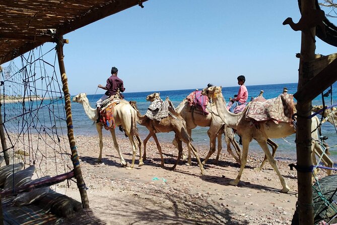 Private Day Tour In Dahab From Sharm El Sheikh - Frequently Asked Questions